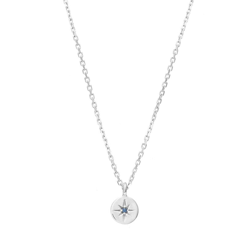 Silk & Steel Petite North Star Necklace image number 0